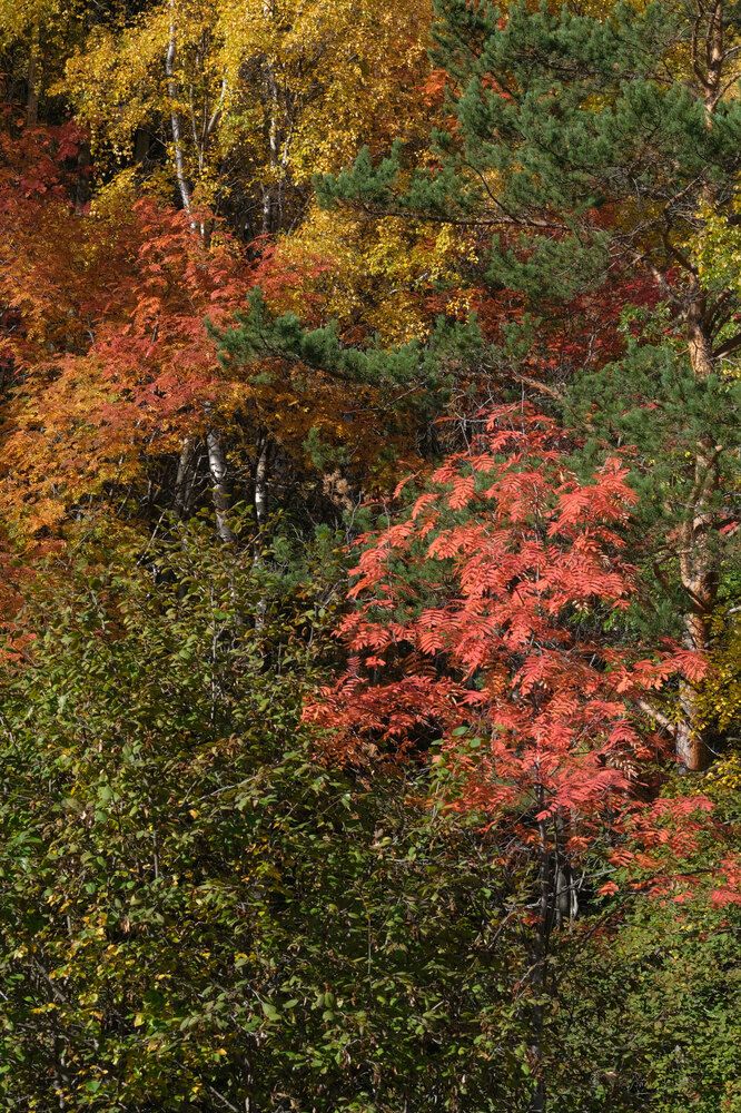 Photograph by Татьяна Рымар