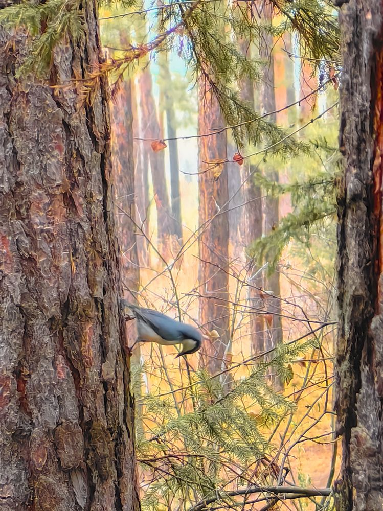 Фотография автора Иван Фомин