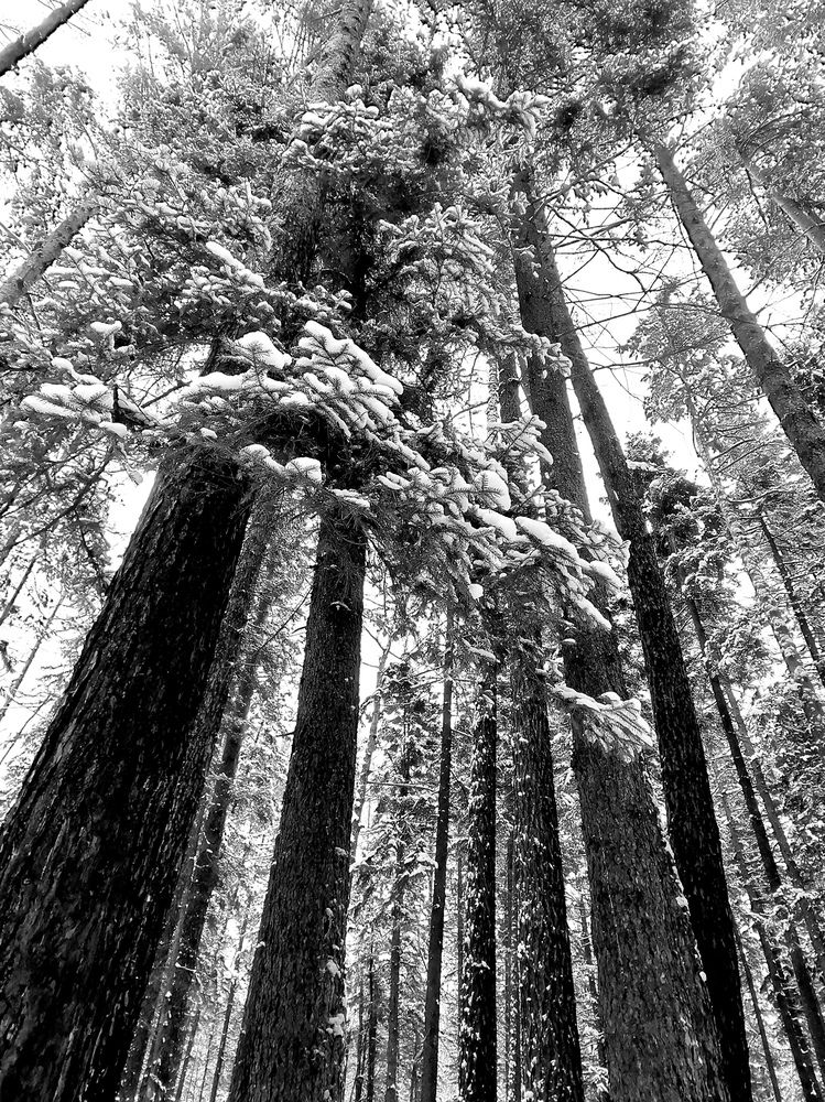 Фотография автора Виталий Шелехов