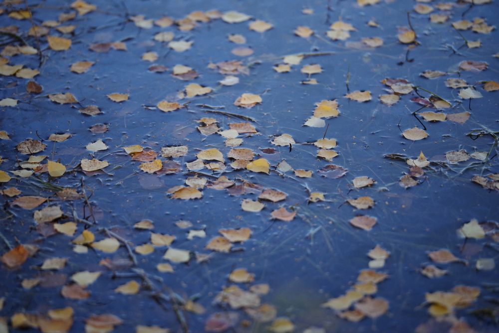 Photograph by Андрей