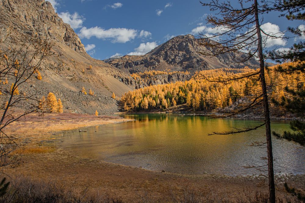 Photograph by Елена Павлова