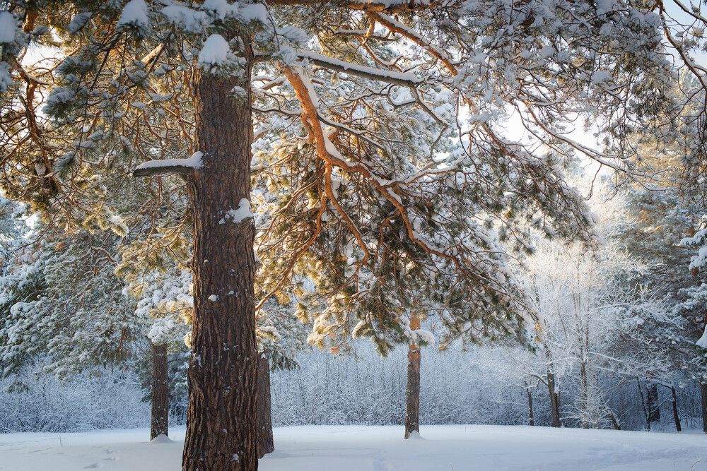 Photograph by Людмила Ковалева