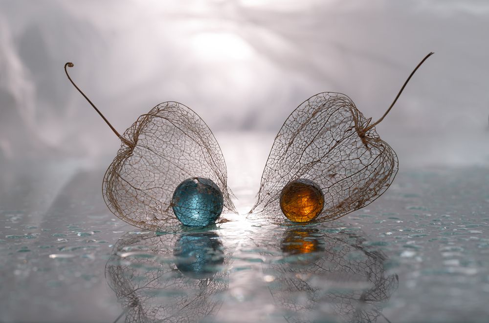 Photograph by Обидина Мария