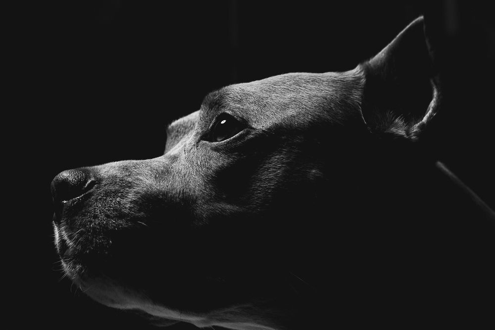 Photograph by Виктор Каримов