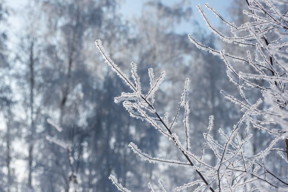 Photograph by Наталья Романова