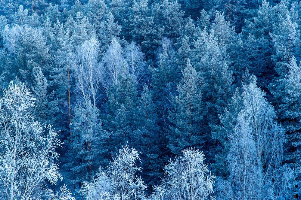 Photograph by Людмила Ковалева