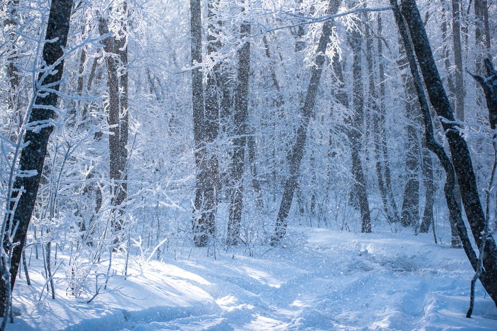 Photograph by Наталья Романова