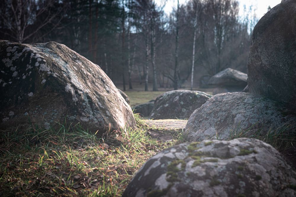 Фотография автора Алена Чёрная