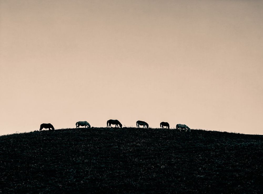 Photograph by Pritam Majumder