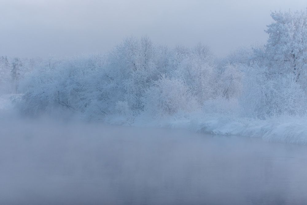 Photograph by Людмила Ковалева