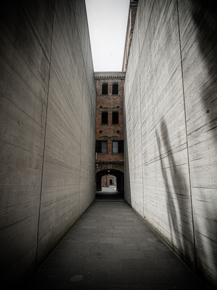 Photograph by Andrea Barlotti