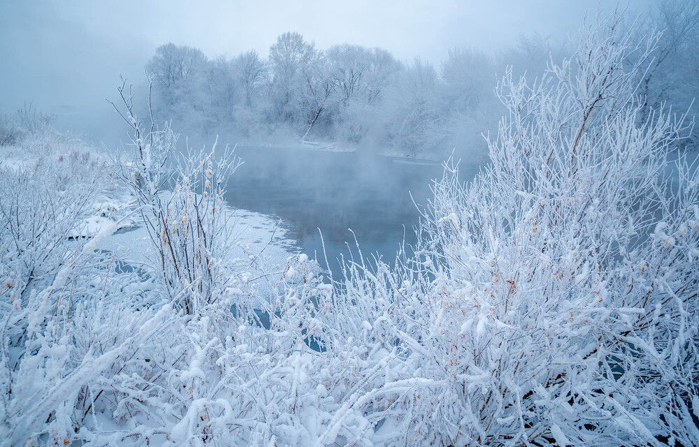 Photograph by Людмила Ковалева