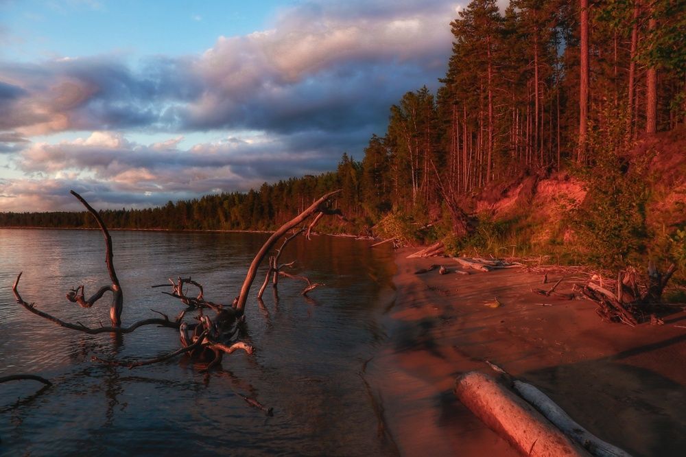 Photograph by Надежда Никитина