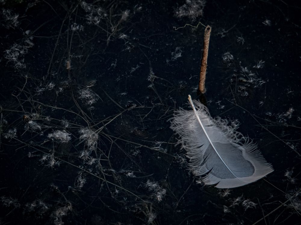 Photograph by Andrea Barlotti