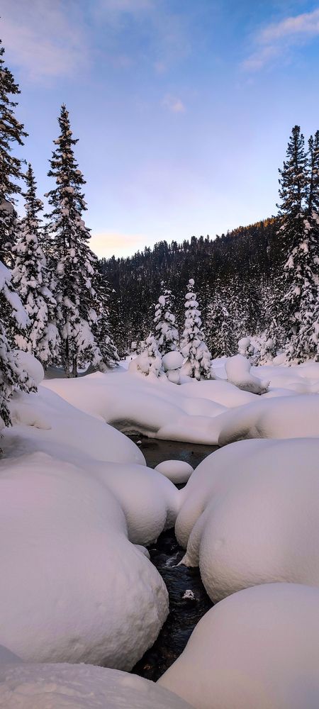 Фотография автора Оркина Ксения