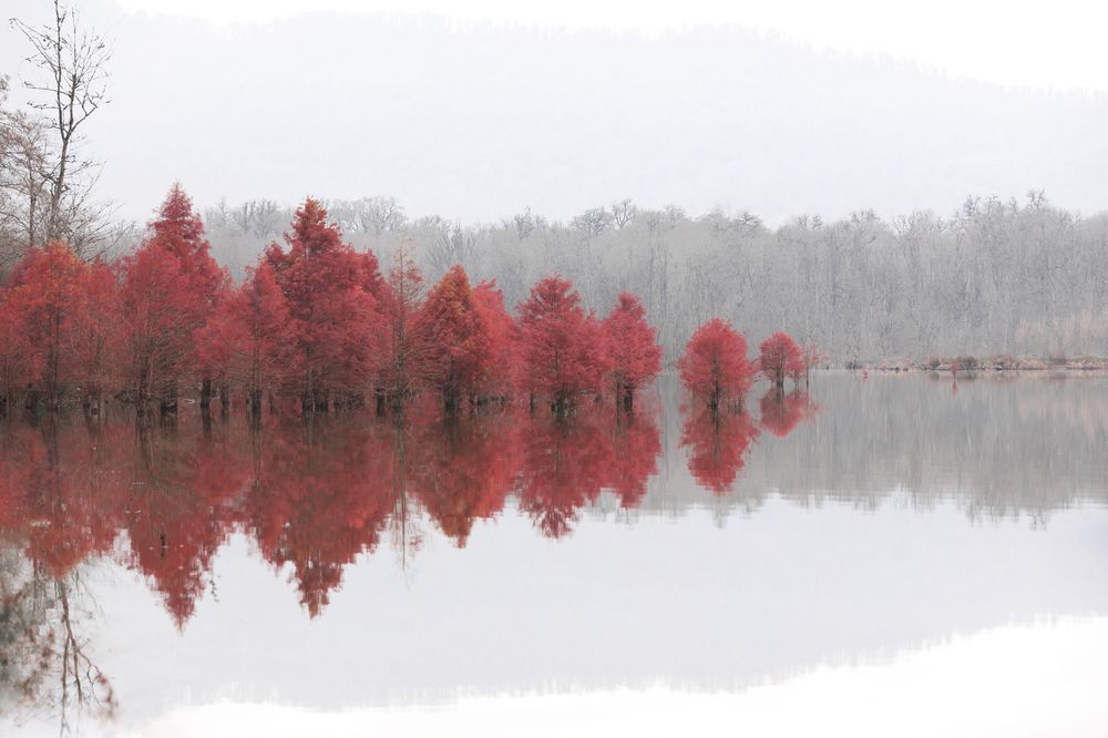 Photograph by SABA Etehad Ketabchi