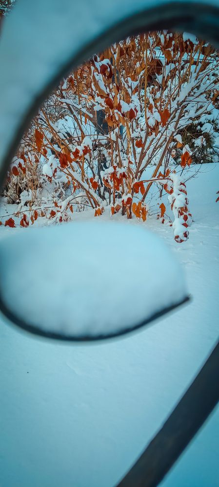 Фотография автора Оркина Ксения