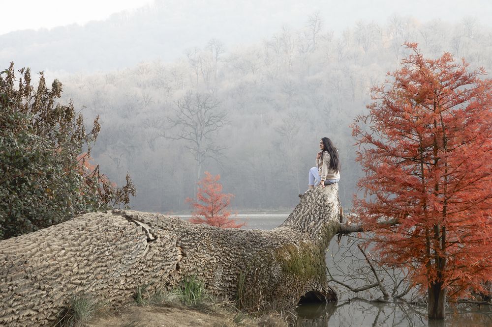 Photograph by Esmaeil rashedi