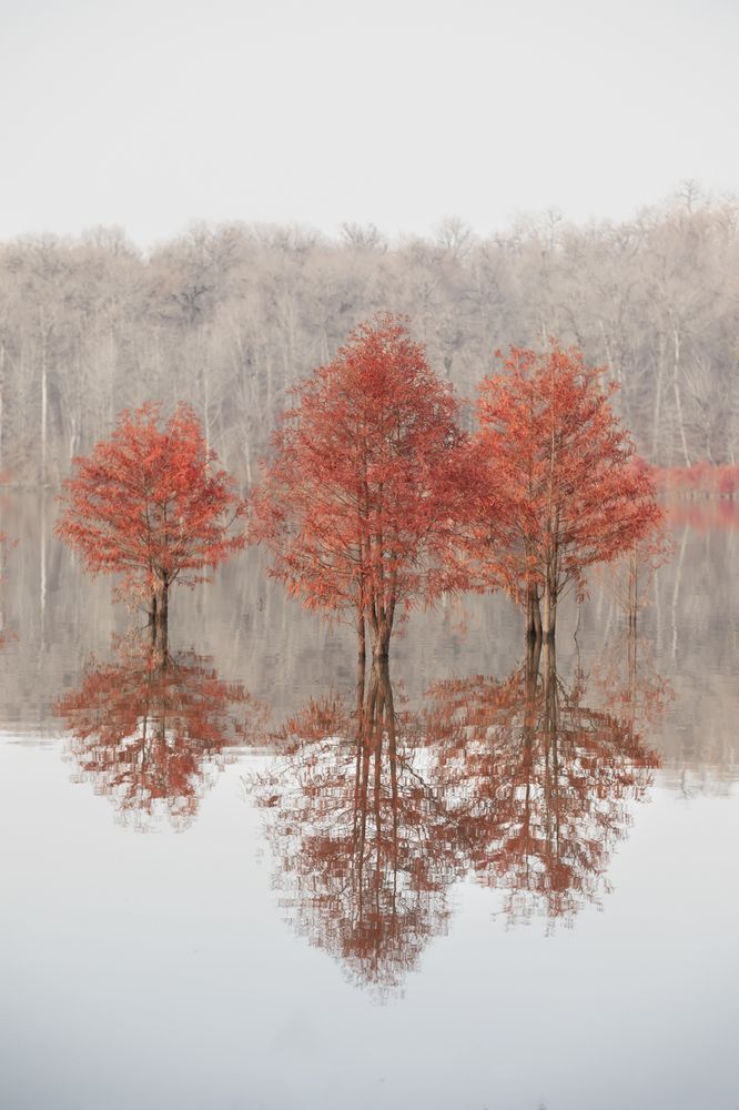 Photograph by SABA Etehad Ketabchi