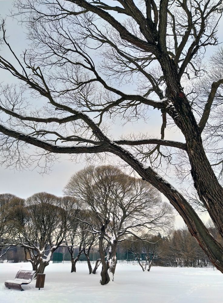 Photograph by Ольга Стоун