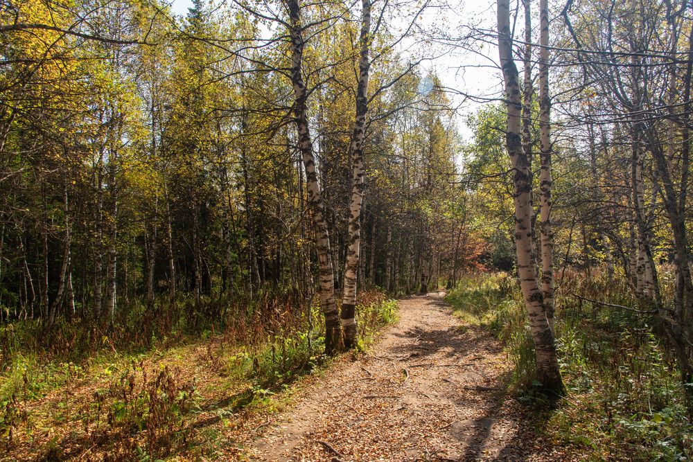 Photograph by Артём Самусенко