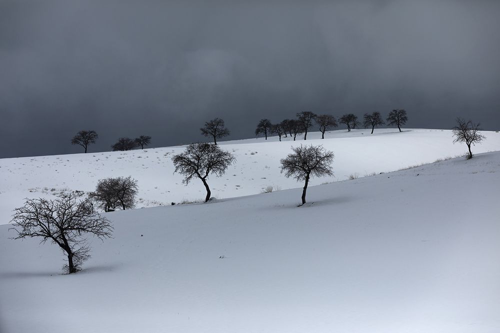 Photograph by SABA Etehad Ketabchi