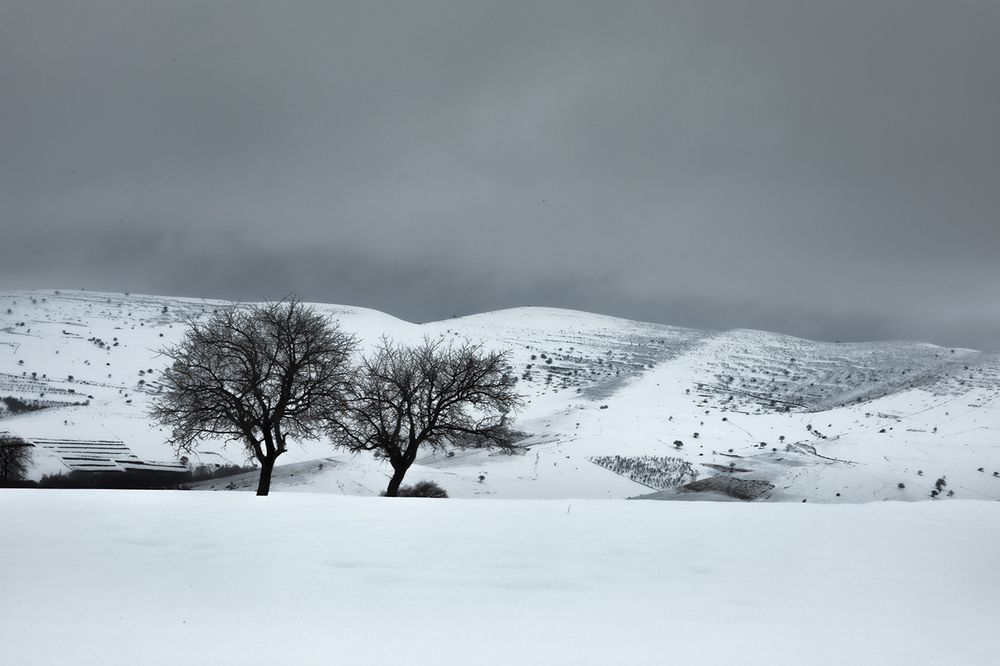 Photograph by SABA Etehad Ketabchi