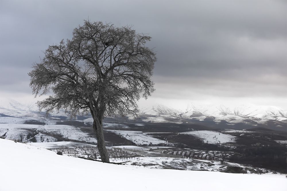 Photograph by SABA Etehad Ketabchi