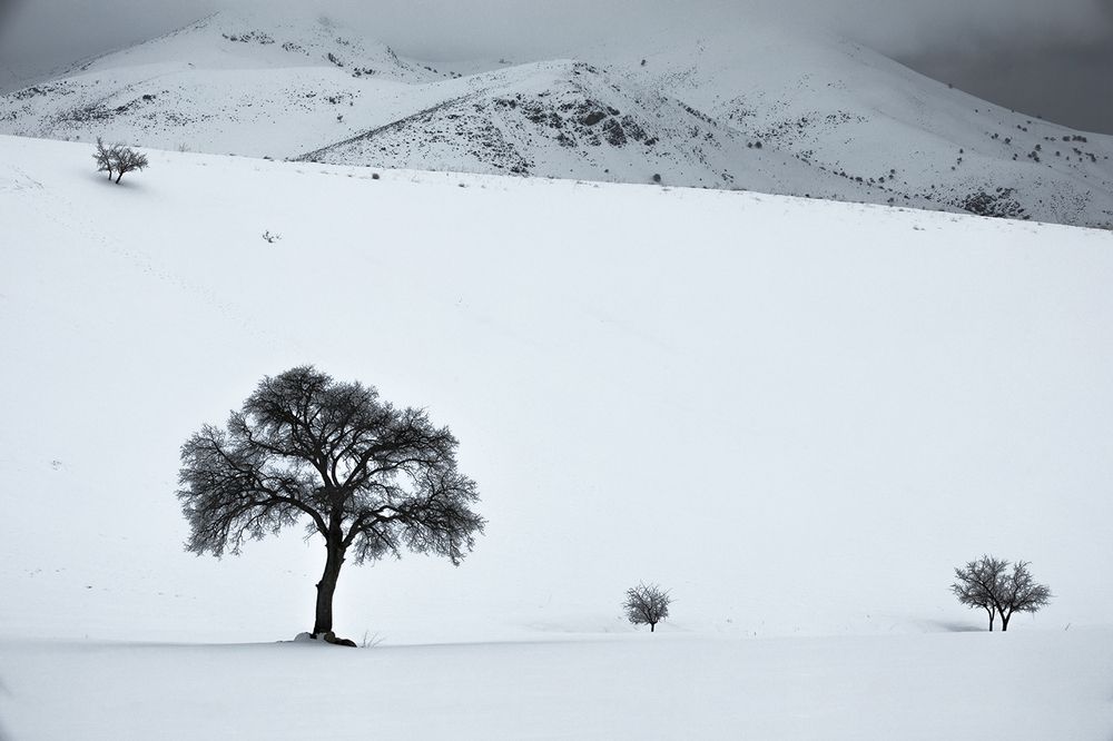 Photograph by SABA Etehad Ketabchi