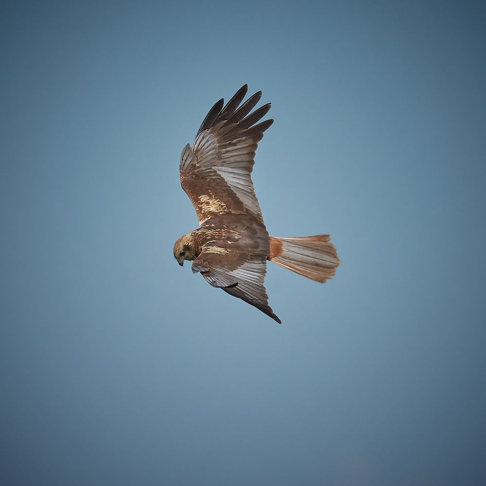 Photograph by Andrea Barlotti