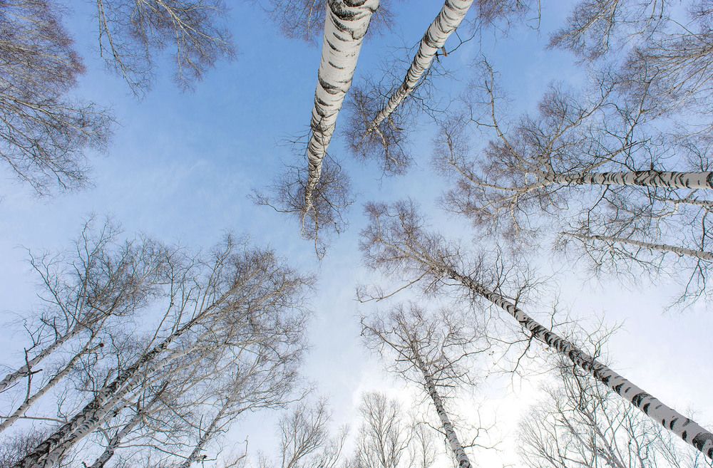 Photograph by Людмила Ковалева