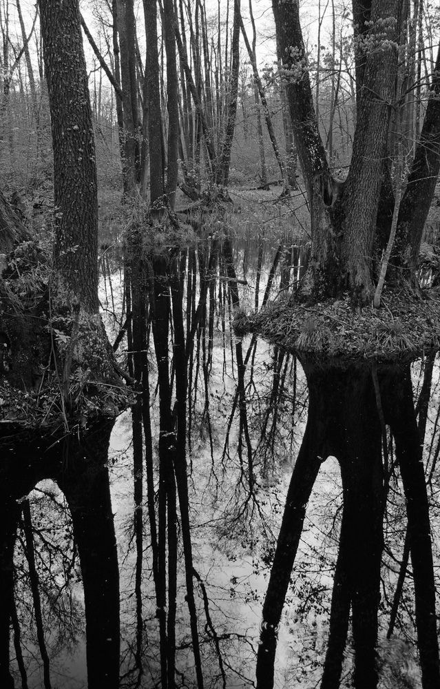 Photograph by Ольга Стоун