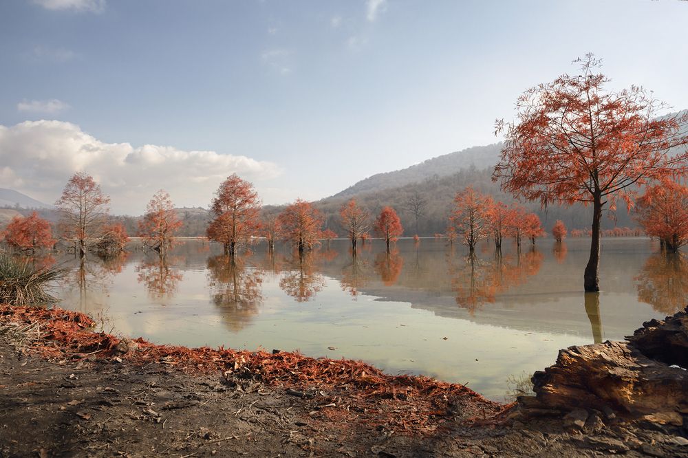 Photograph by Esmaeil rashedi