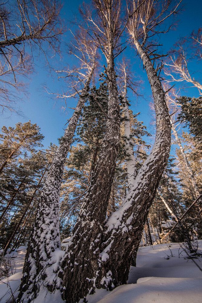 Photograph by Людмила Ковалева