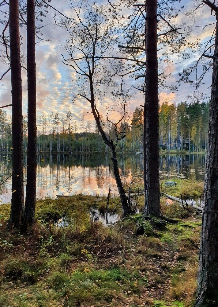 Photograph by Надежда Кудрявцева