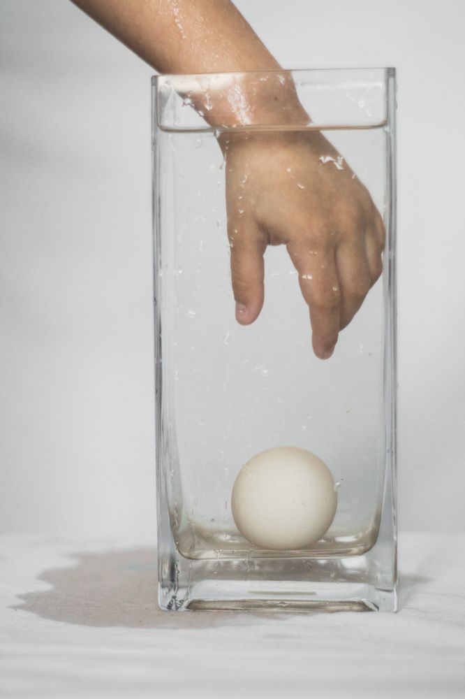 Фотография автора Мария Александрова