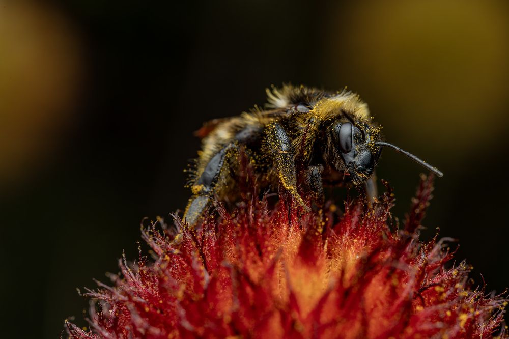 Фотография автора Виталий Сурков