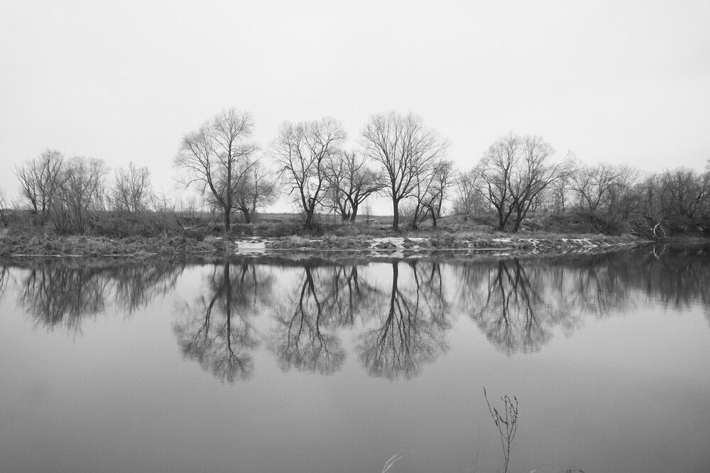 Photograph by Алфия Бугакова