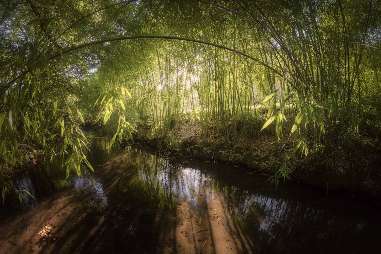 ....Through The Light....