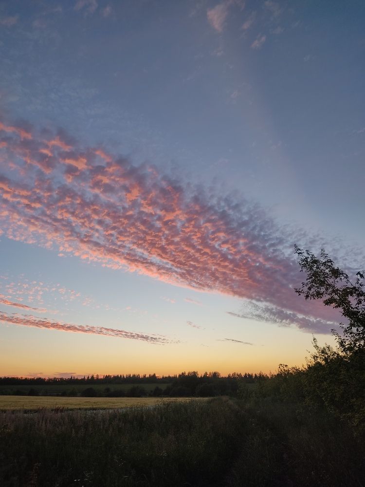 Фотография автора Мария Александрова