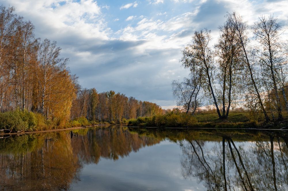 Фотография автора Виталий Сурков