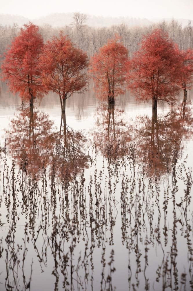 Photograph by SABA Etehad Ketabchi