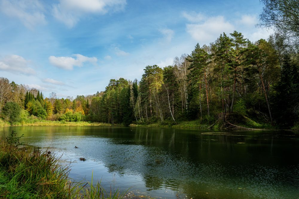 Фотография автора Виталий Сурков