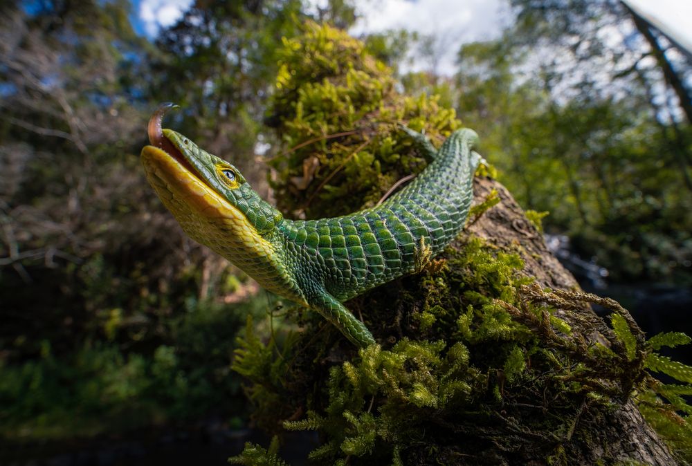 Photograph by Gerardo Ochoa