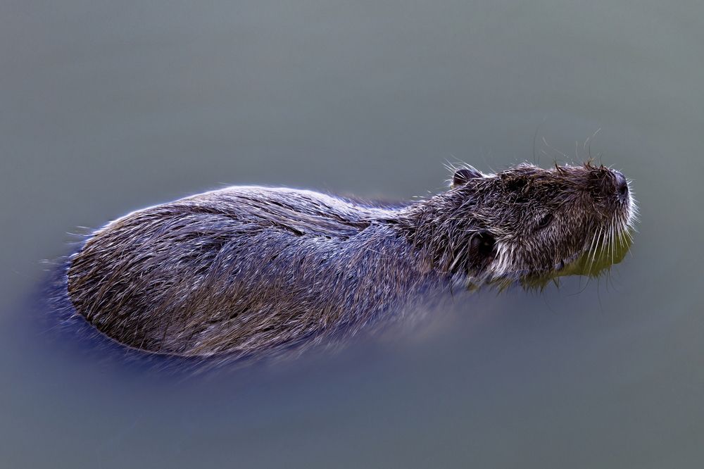 Photograph by Александр Карпенко