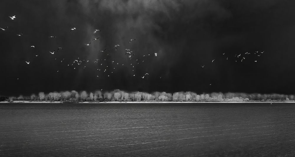 Photograph by Елена Ворошина