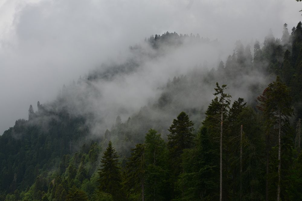 Photograph by Мария Елисеева