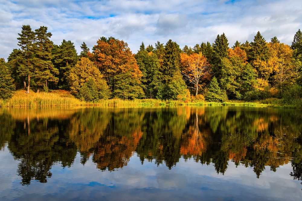 Photograph by Владимир Карпов