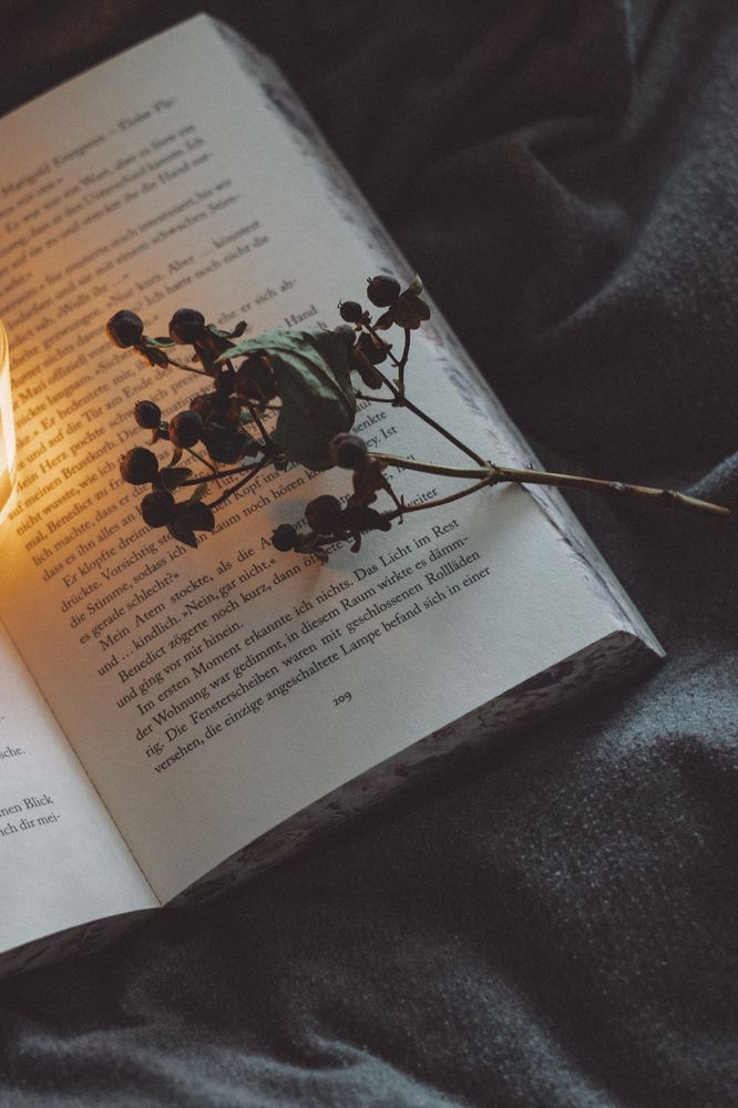 Photograph by Irina Chekanov