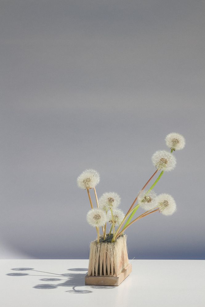 Photograph by Ольга Козлова